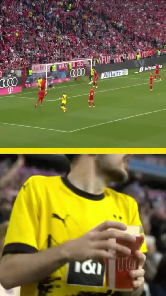 勇者無懼！這是真多特球迷！在拜仁球迷區一個人肆意慶祝！